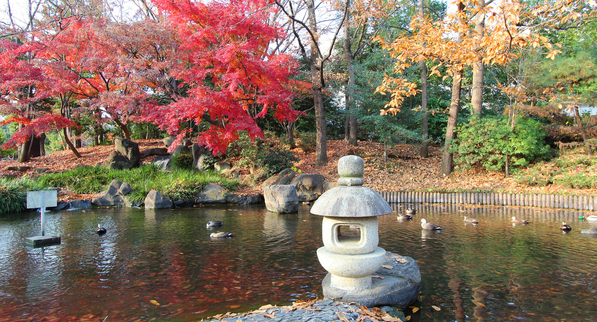 府中の森公園
